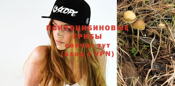 а пвп мука Бородино