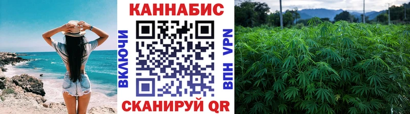 Каннабис White Widow Будённовск